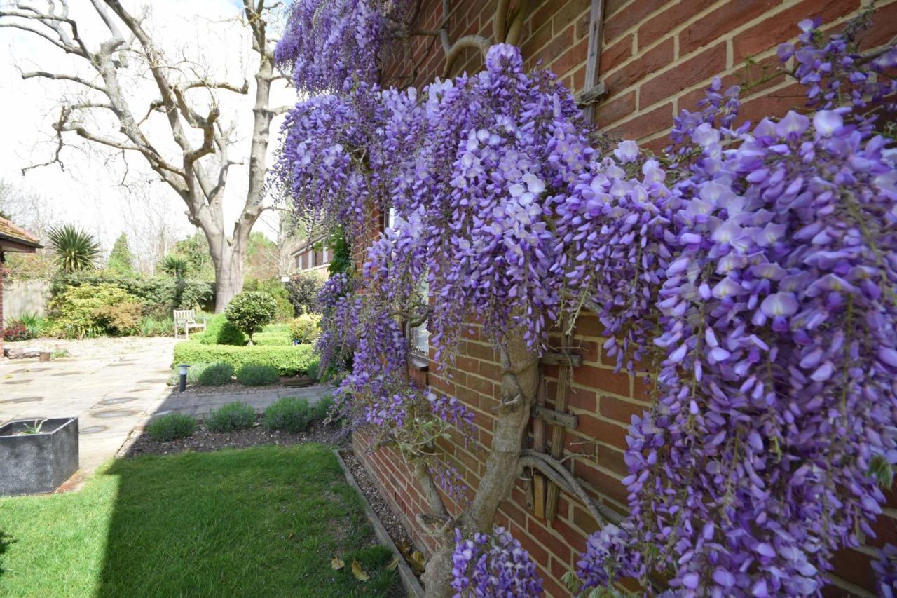 Wisteria Way, Tangmere Экстерьер фото